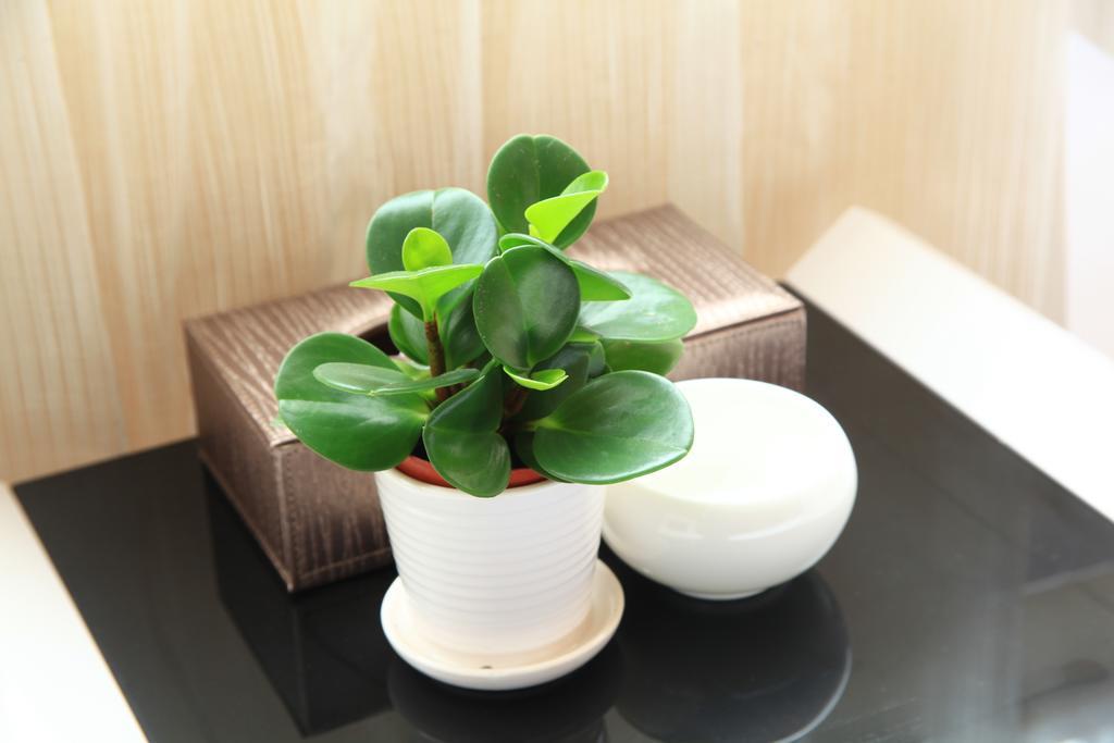 Shang Yuan Hotel Guangzhou Oda fotoğraf